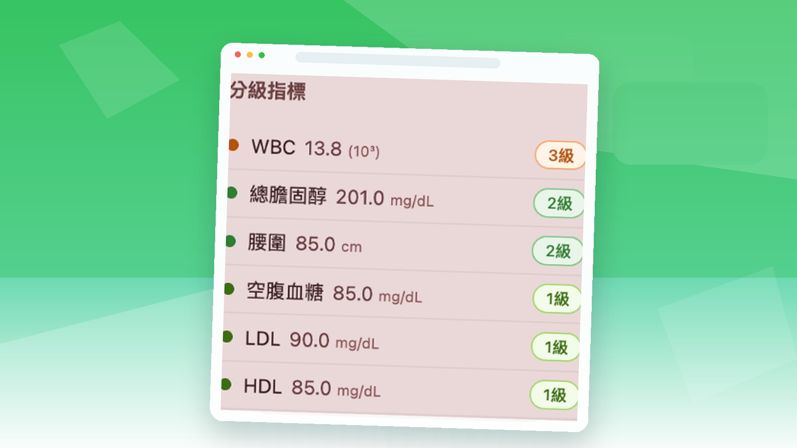 宸護個案分級畫面，顯示風險分級指標